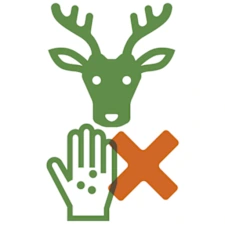 ルール: 鹿にエサやり禁止